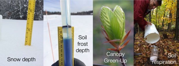 USFS_VernalWindowProtocols